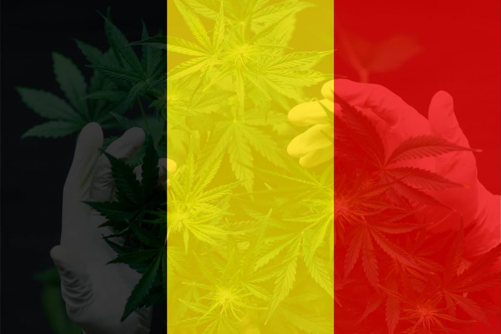 cbd belgique